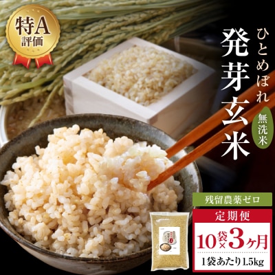 特A ひとめぼれ 米 残留農薬ゼロ 発芽玄米 1.5kg × 10袋 3ヶ月 毎月定期便 無洗米