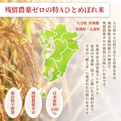 特A ひとめぼれ 米 残留農薬ゼロ 発芽玄米 1.5kg × 10袋 6ヶ月 毎月定期便 無洗米