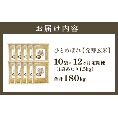 特A ひとめぼれ 米 残留農薬ゼロ 発芽玄米 1.5kg × 10袋 12ヶ月 毎月定期便 無洗米
