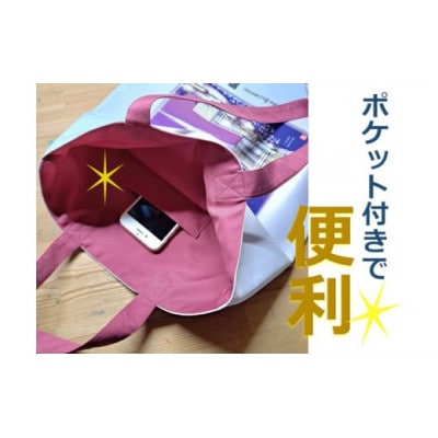 かほくの身近な風景スケッチヒストリーバック「西田幾多郎記念哲学館」(デラウエアアパープル)1個