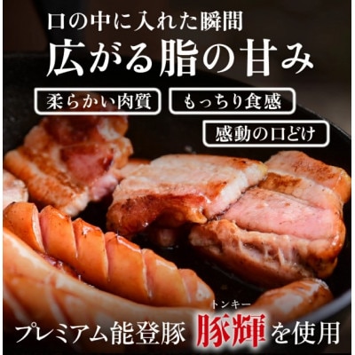プレミアム能登豚を使用したウインナーとベーコンの詰め合わせセット【かほく里山の輝 】