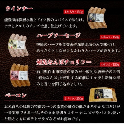 プレミアム能登豚を使用したウインナーとベーコンの詰め合わせセット【かほく里山の輝 】
