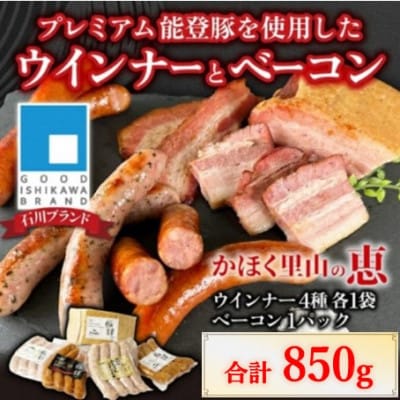 【先行予約】かほく里山の恵 1箱 850g【2025年10月以降順次発送】