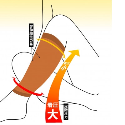 【ふるさと納税】ツカレナイン 着圧サポーター【フクラハギ】(ブラック:Lサイズ)1ペア(両足2枚入)