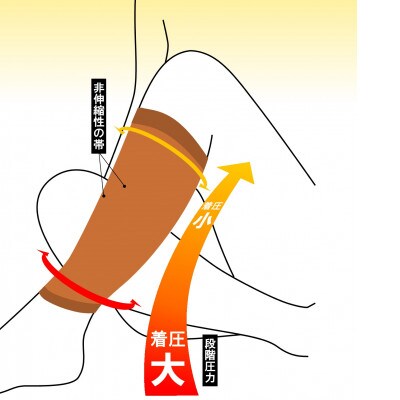 【ふるさと納税】ツカレナイン 着圧サポーター【ソックス】(ベージュ:Mサイズ)1ペア(両足2枚入)