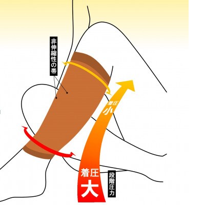 【ふるさと納税】ツカレナイン 着圧サポーター【オープン】(ブラック:Lサイズ)1ペア(両足2枚入)