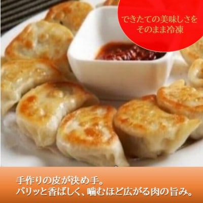 本格手作り 冷凍餃子セット(10個入×5袋 計 50個)