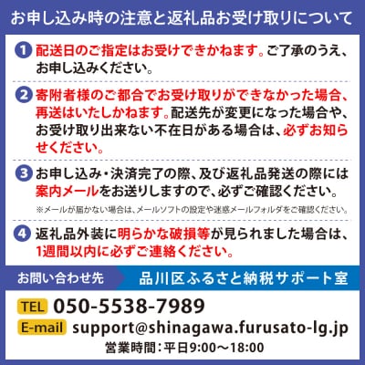 【数量限定】しながわシティラン2026　10kmコース出走権(1名分)