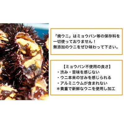 焼きうに&塩うに 食べ比べセット [ ミョウバン不使用 ] 広田湾漁協からお届け!