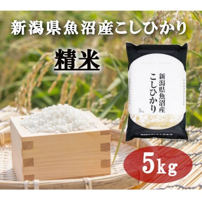 令和7年産 「雪蔵仕込み」 精米5kg  【湯沢産コシヒカリ】