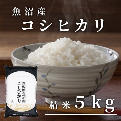 令和7年産 「雪蔵仕込み」 精米5kg  【湯沢産コシヒカリ】