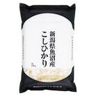 令和7年産 「雪蔵仕込み」 精米10kg 【湯沢産コシヒカリ】