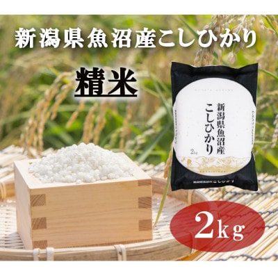 令和7年産「雪蔵仕込み」精米(白米)2kg【湯沢産コシヒカリ】