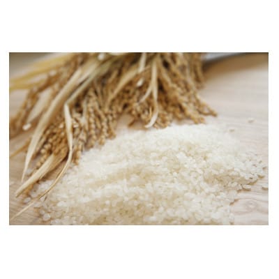 令和7年産「雪蔵仕込み」精米(白米)2kg【湯沢産コシヒカリ】