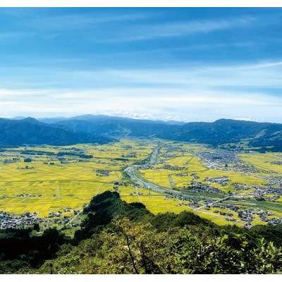 令和7年産「雪蔵仕込み」精米(白米)2kg【湯沢産コシヒカリ】