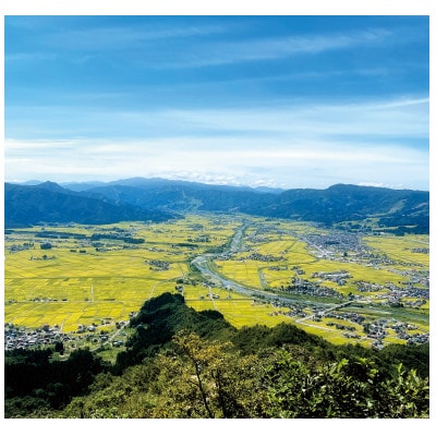 令和7年産 「雪蔵仕込み」 精米(白米)4kg 【湯沢産コシヒカリ】