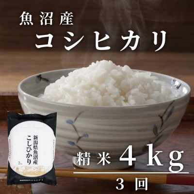 【毎月定期便】精米4kg「雪蔵仕込み」【湯沢産コシヒカリ】全3回