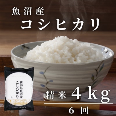 【毎月定期便】精米(白米)4kg「雪蔵仕込み」【湯沢産コシヒカリ】全6回