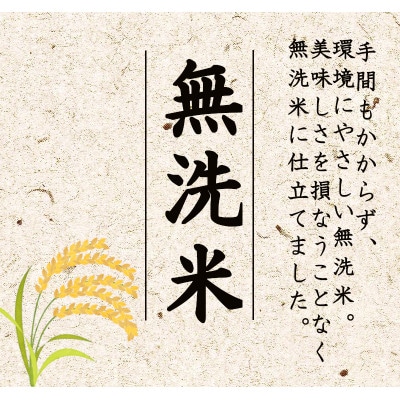 【毎月定期便】無洗米4kg「雪蔵仕込み」【湯沢産コシヒカリ】全6回