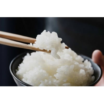 【毎月定期便】無洗米4kg「雪蔵仕込み」【湯沢産コシヒカリ】全6回