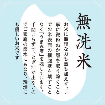 【毎月定期便】無洗米2kg「雪蔵仕込み」【湯沢産コシヒカリ】全6回
