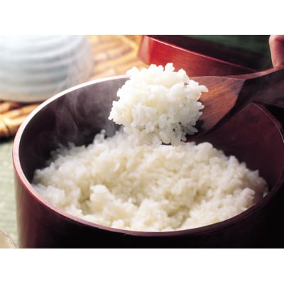 【毎月定期便】無洗米2kg「雪蔵仕込み」【湯沢産コシヒカリ】全6回