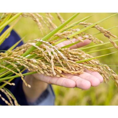 【令和7年産 】有機JAS認定「奇跡のお米 神宝米」玄米3kg