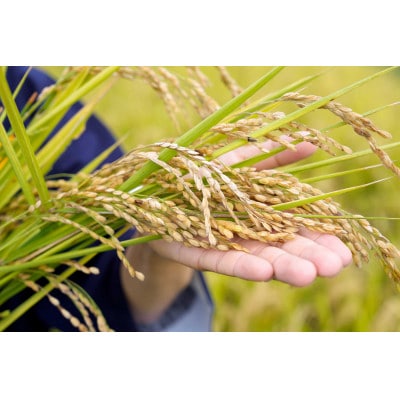 【令和7年度】「奇跡のお米 神宝米」白米 真空パック1kg×2パック