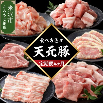 【4ヶ月定期便】 豚肉 天元豚 食べ比べ 全4回