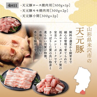 【4ヶ月定期便】 豚肉 天元豚 食べ比べ 全4回