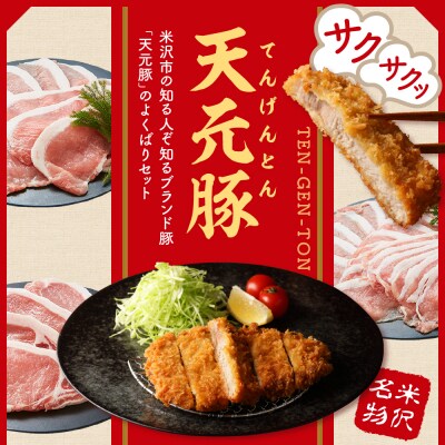 豚肉 天元豚 よくばり 詰合せ セット しゃぶしゃぶ 焼肉 とんかつ 各400g 計1.2kg