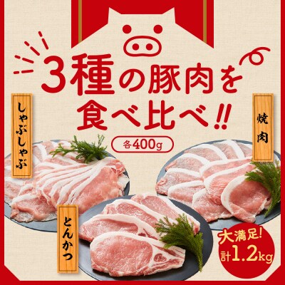 豚肉 天元豚 よくばり 詰合せ セット しゃぶしゃぶ 焼肉 とんかつ 各400g 計1.2kg
