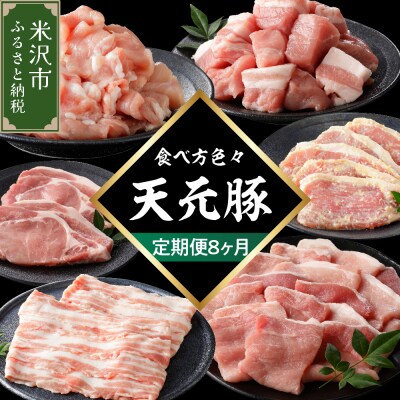 【8ヶ月定期便】 豚肉 天元豚 食べ比べ 全8回