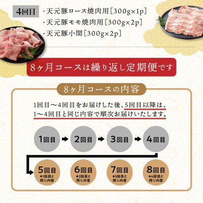 【8ヶ月定期便】 豚肉 天元豚 食べ比べ 全8回