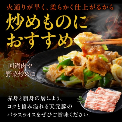 豚肉 天元豚 豚バラ スライス 2kg ( 200g × 10パック )