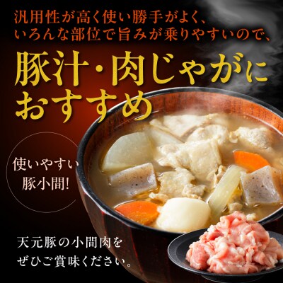 豚肉 天元豚 豚小間 2kg ( 200g × 10パック )