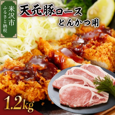 豚肉 天元豚 ロース とんかつ用 1.2kg ( 100g × 12枚 )