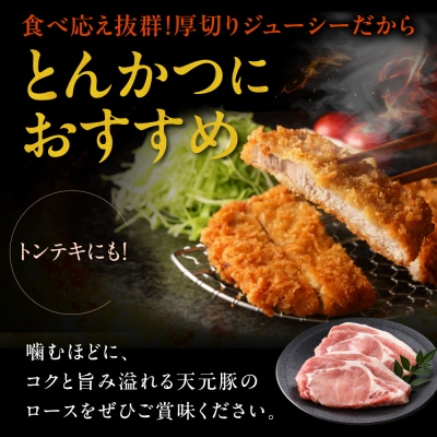 豚肉 天元豚 ロース とんかつ用 1.2kg ( 100g × 12枚 )