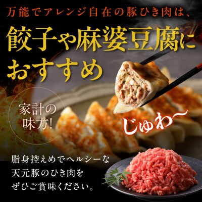 豚肉 天元豚 ひき肉 1.5kg ( 250g × 6パック )