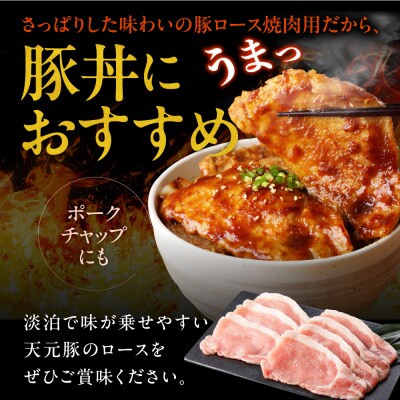 豚肉 天元豚 ロース 焼肉用 1.2kg ( 300g × 4パック )