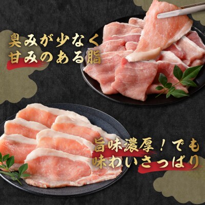 豚肉 天元豚 ロース 焼肉用 1.2kg ( 300g × 4パック )