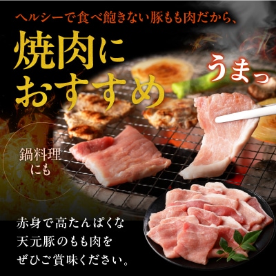豚肉 天元豚 もも 焼肉用 1.2kg ( 300g × 4パック )