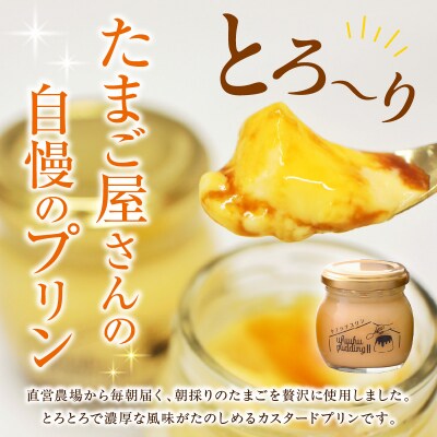 《1日10セット限定》 ウフウフガーデンのとろ生プリン(90g×6個)