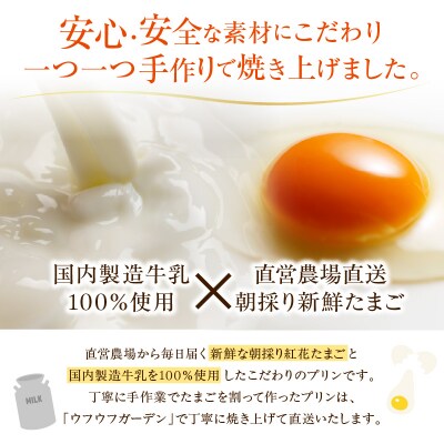 《1日10セット限定》 ウフウフガーデンのとろ生プリン(90g×6個)