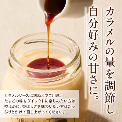 【数量限定】 ウフウフガーデン とろ生 プリン 90g × 6個 1日 10セット 限定
