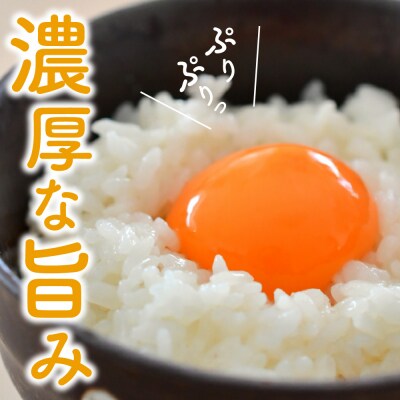 【定期便】 紅花たまご 30個 × 3ヶ月 計90個