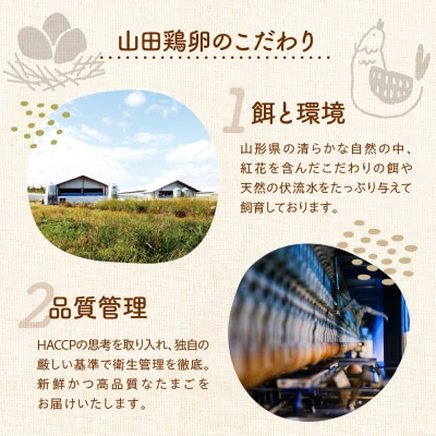 紅花たまご M～Lサイズ 10個×3パック 計30個