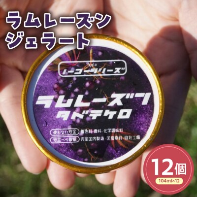 ラムレーズンジェラート12個セット