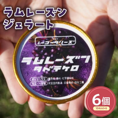 ラムレーズンジェラート(104ml)〔6個入り〕