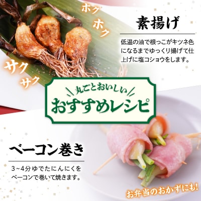 つのにんにく 10本 × 7袋 計70本 発芽にんにく 水耕 栽培 スプラウト ニンニク